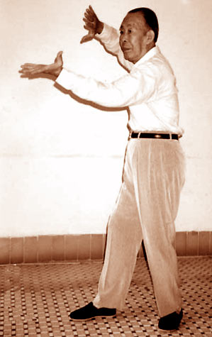 见证意拳---作者：韩樵