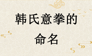 韩氏意拳的命名